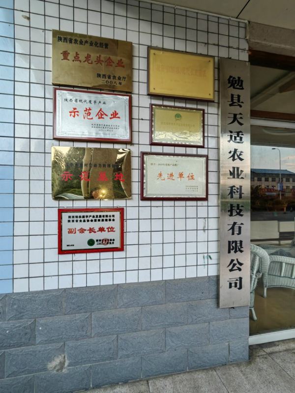 圖片4